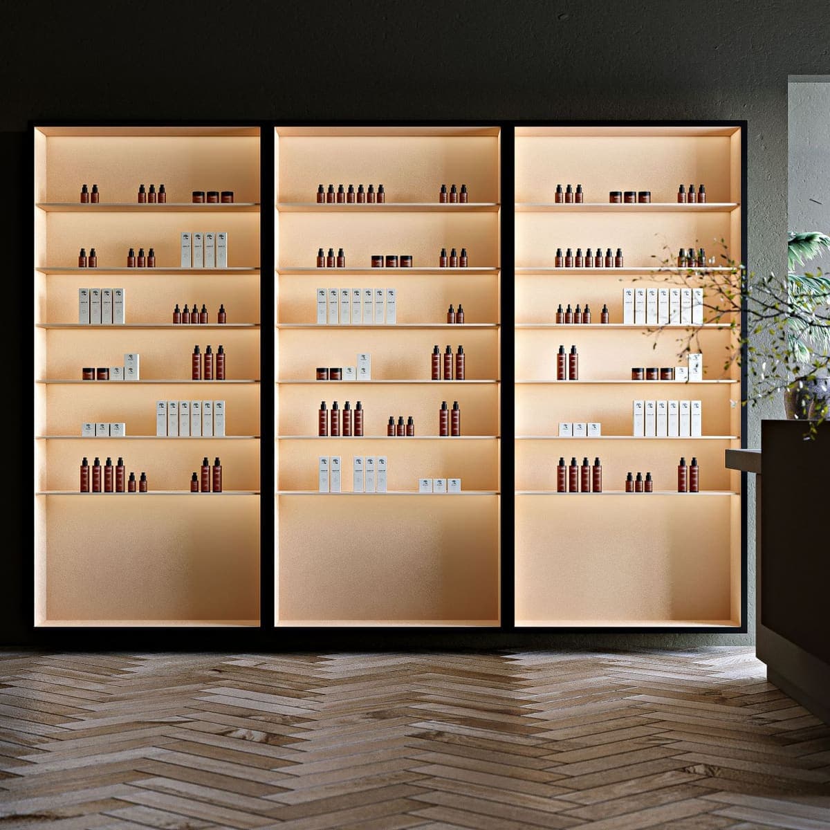 Rayonnages de boutique alignés et éclairés